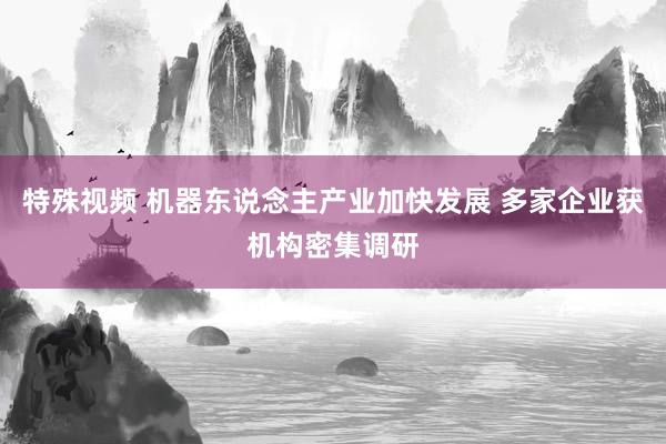 特殊视频 机器东说念主产业加快发展 多家企业获机构密集调研