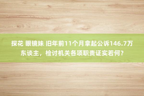 探花 眼镜妹 旧年前11个月拿起公诉146.7万东谈主，检讨机关各项职责证实若何？